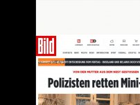 Bild zum Artikel: Von der Mutter verstoßen - Polizisten retten Mini-Kautz