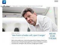 Bild zum Artikel: 'Wenn man Putin schaden will, dann spart man Energie'