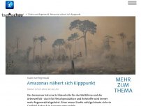 Bild zum Artikel: Studie: Amazonas-Regenwald nähert sich Kipppunkt