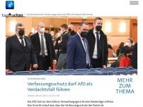 Bild zum Artikel: Verfassungsschutz darf AfD als Verdachtsfall führen