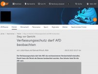 Bild zum Artikel: Verfassungsschutz darf AfD beobachten