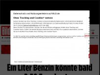 Bild zum Artikel: Experten warnen - Ein Liter Benzin könnte bald 2,50 Euro kosten