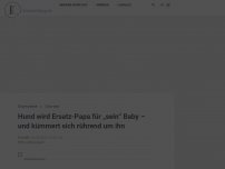 Bild zum Artikel: Hund wird Ersatz-Papa für „sein“ Baby – und kümmert sich rührend um ihn