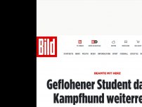 Bild zum Artikel: Beamte mit Herz - Geflohener Student darf mit Kampfhund weiterreisen