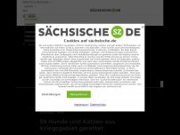 Bild zum Artikel: 59 Hunde und Katzen aus Kriegsgebiet gerettet