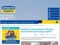 Bild zum Artikel: Beliebtes Lebensmittel in Bayern: Senf könnte bald knapp werden