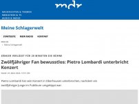 Bild zum Artikel: Zwölfjähriger Fan bewusstlos: Konzert unterbrochen