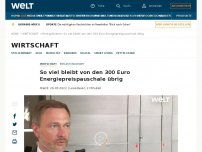 Bild zum Artikel: So viel bleiben von den 300 Euro Energiepreispauschale übrig