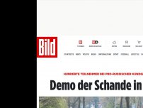 Bild zum Artikel: Sowjetisches Ehrenmal in Bonn - Pro-russische Demo mit Hunderten Autos