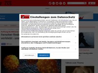 Bild zum Artikel: Hoffnung für Millionen Tumorpatienten - Forscher finden Wirkstoff, der Krebszellen verklebt - und Metastasen verhindern kann