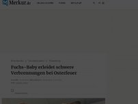 Bild zum Artikel: Fuchs-Baby erleidet schwere Verbrennungen bei Osterfeuer