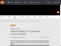 Bild zum Artikel: Habeck plädiert für Lieferung schwerer Waffen