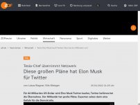 Bild zum Artikel: Diese großen Pläne hat Elon Musk für Twitter