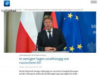 Bild zum Artikel: Habeck rechnet mit Unabhängigkeit von russischem Öl in Tagen