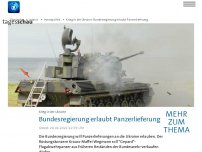 Bild zum Artikel: Ukraine: Bundesregierung will laut Medienberichten Lieferung von 'Gepard'-Panzern ermöglichen