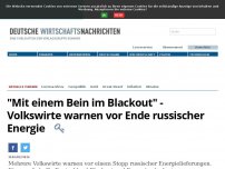 Bild zum Artikel: 'Mit einem Bein im Blackout' - Volkswirte warnen vor Ende russischer Energie