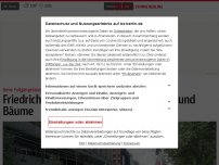 Bild zum Artikel: Friedrichstraße bekommt Wasserspiele und Bäume