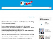 Bild zum Artikel: Überstürzte Aufnahme von Ukraine und „Westbalkan“ in die EU liegt nicht im deutschen Interesse 