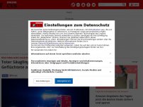 Bild zum Artikel: Kind lebte wohl zunächst noch - Toter Säugling in Kölner Unterkunft für Geflüchtete aus der Ukraine gefunden