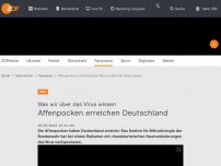 Bild zum Artikel: Affenpocken: Was wir über das Virus wissen