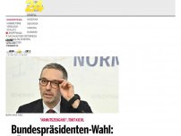 Bild zum Artikel: Bundespräsidenten-Wahl: FPÖ schießt sich auf VdB ein
