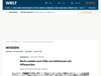 Bild zum Artikel: Belgien führt Infektionen auf Fetisch-Festival zurück