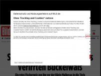 Bild zum Artikel: Die Qualen des Wals - Spektakuläre Rettung eines verirrten Buckelwals