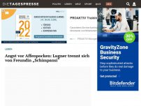 Bild zum Artikel: Angst vor Affenpocken: Lugner trennt sich von Freundin „Schimpansi“