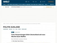 Bild zum Artikel: Trotz Versprechungen liefert Deutschland seit neun Wochen kaum Waffen