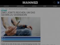 Bild zum Artikel: Studie: Zwei Joints reichen, um das Gehirn zu verändern