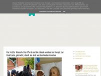 Bild zum Artikel: Der letzte Wunsch: Das Pferd und die Hunde wurden ins Hospiz zur Besitzerin gebracht, damit sie sich verabschieden konnten