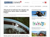 Bild zum Artikel: Hitzetod: So befreien Sie Hunde aus parkierten Autos ohne rechtliche Folgen