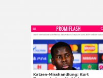 Bild zum Artikel: Katzen-Misshandlung: Kurt Zouma drohen fünf Jahre Gefängnis