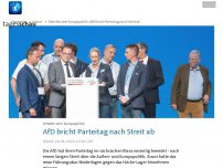 Bild zum Artikel: AfD-Parteitag nach stundenlangem Streit über Außen- und Europapolitik abgebrochen