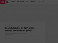 Bild zum Artikel: Das „tödlichste Tier der Welt“ ist laut Forschern intelligenter als gedacht