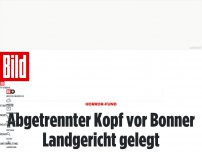 Bild zum Artikel: schreckensfund - Kopf vor Bonner Landgericht abgelegt