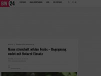 Bild zum Artikel: Mann streichelt wilden Fuchs – Begegnung endet mit Notarzt-Einsatz