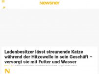 Bild zum Artikel: Ladenbesitzer lässt streunende Katze während der Hitzewelle in sein Geschäft – versorgt sie mit Futter und Wasser