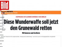 Bild zum Artikel: Flammen-Inferno im Berliner Grunewald - Waldbrand breitet sich unkontrolliert aus!