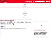 Bild zum Artikel: Exklusive FOCUS-online-Rechnung - Steuer-Irrsinn: So viel verdient der Staat an Habecks Gasumlage