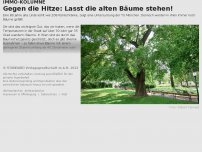 Bild zum Artikel: Gegen die Hitze: Lasst die alten Bäume stehen!