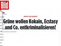 Bild zum Artikel: „Recht auf Rausch“ - Grüne wollen Kokain und Ecstasy entkriminalisieren