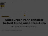 Bild zum Artikel: Salzburger Pannenhelfer befreit Hund aus Hitze-Auto