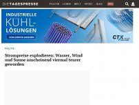 Bild zum Artikel: Strompreise explodieren: Wasser, Wind und Sonne anscheinend viermal teurer geworden