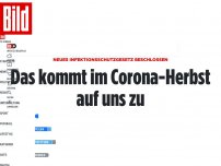 Bild zum Artikel: Kabinett berät Infektionsschutzgesetz - Wie düster wird unser Corona-Herbst?