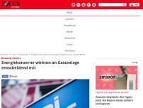 Bild zum Artikel: Bericht: Energiekonzerne sollen an Gasumlage mitgewirkt haben