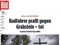 Bild zum Artikel: Unfall auf dem Friedhof - Radfahrer prallt gegen Grabstein - tot