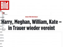 Bild zum Artikel: Was für ein Bild! - Harry, Meghan, William, Kate– in Trauer vereint