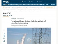 Bild zum Artikel: Trotz Energiekrise – Grünen-Chefin Lang dringt auf schnellen Kohleausstieg