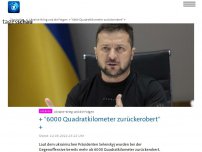 Bild zum Artikel: Ukraine-Liveblog: ++ Nouripour fordert mehr Waffenlieferungen ++